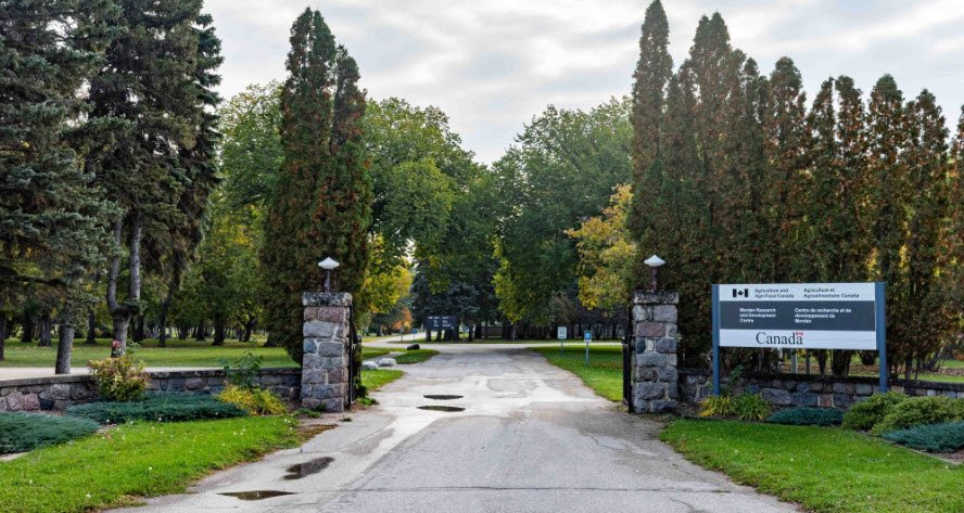 Morden Research and Development Centre, Canada